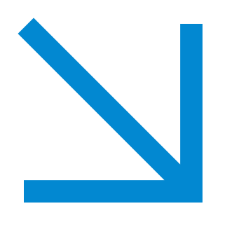 icon_arrowDownR@3x